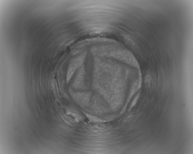 X0000065980868200603241937