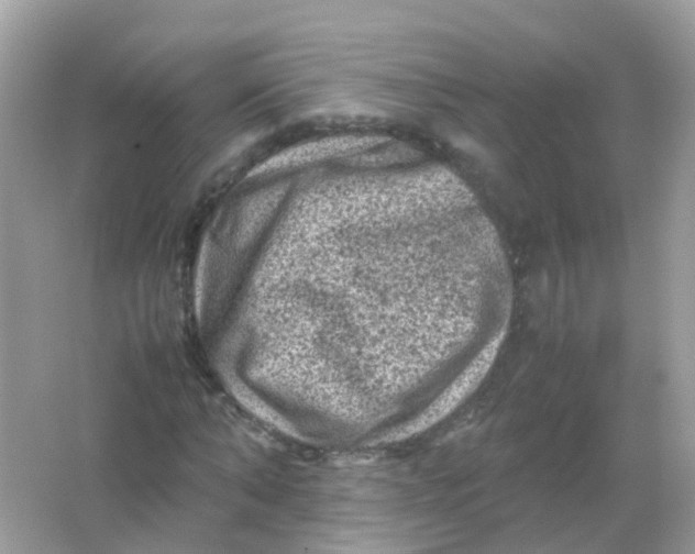 X0000065980870200603241937