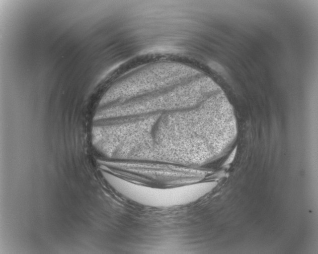 X0000065980872200603241937