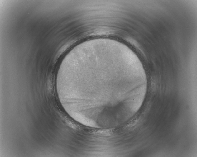 X0000065980874200603241937