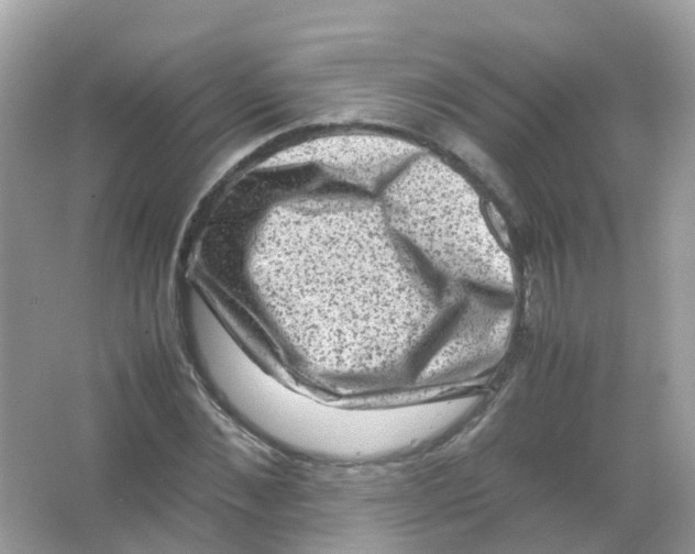 X0000065980876200603241937