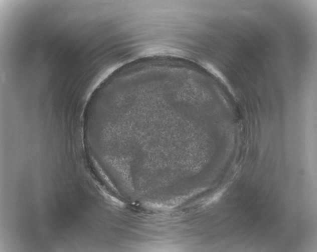 X0000065980877200603241937