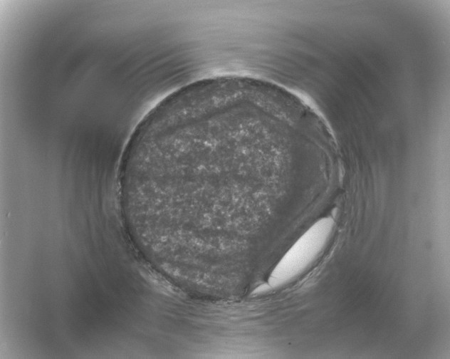 X0000065980879200603241936