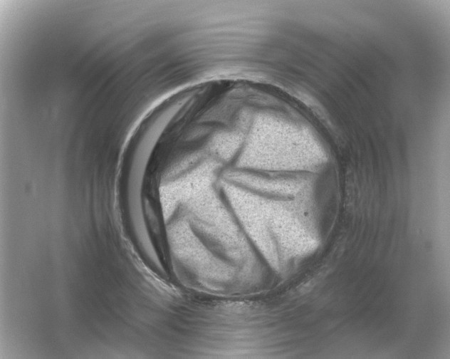 X0000065980880200603241936