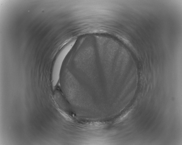 X0000065980881200603241936