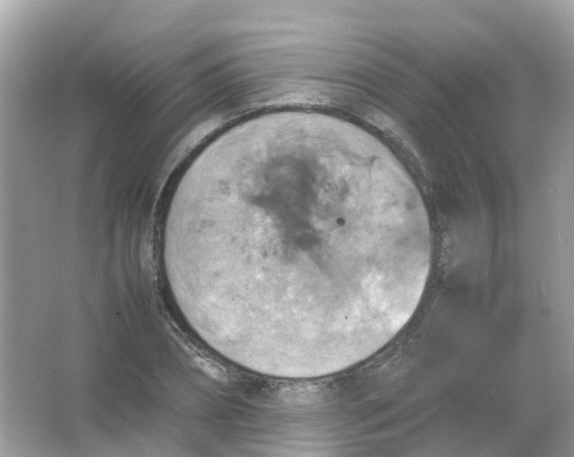 X0000065980882200603241936