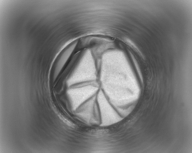 X0000065980884200603241936