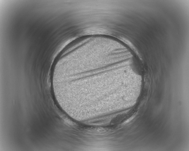 X0000065980885200603241936