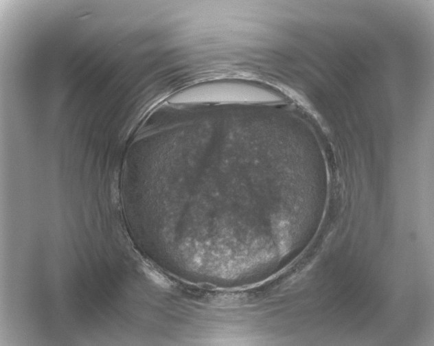 X0000065980889200603241936