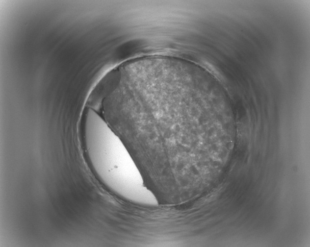 X0000065980891200603241936