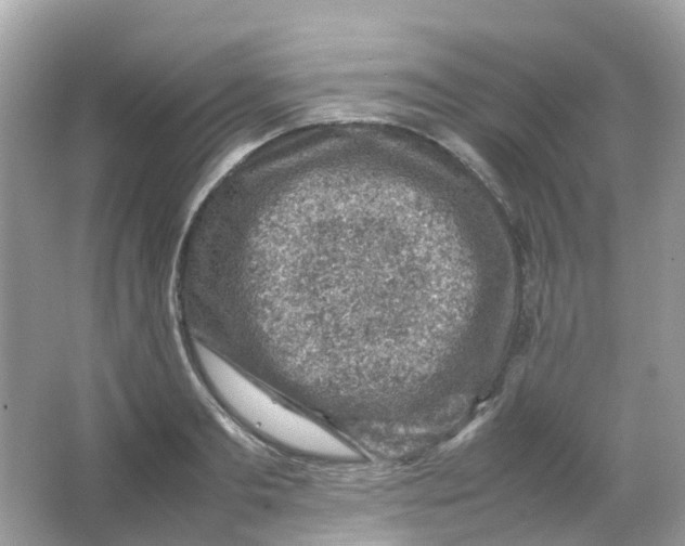 X0000065980893200603241936