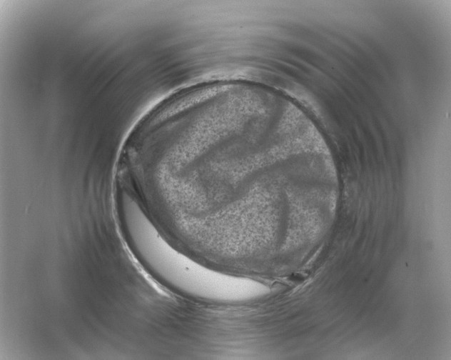 X0000065980894200603241936