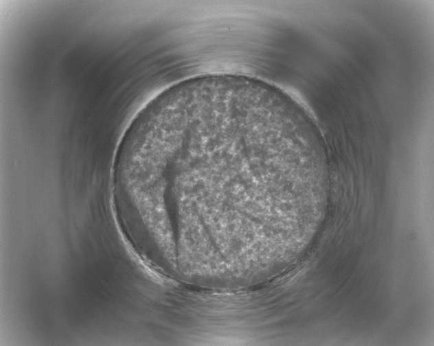 X0000065980895200603241936