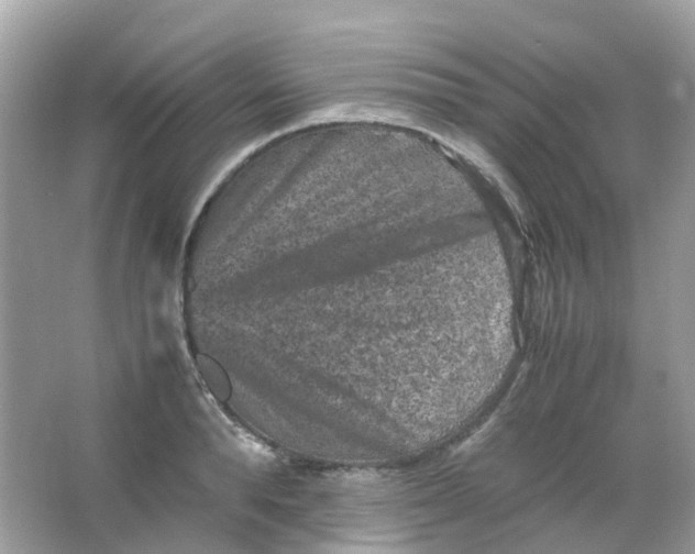 X0000065980896200603241936