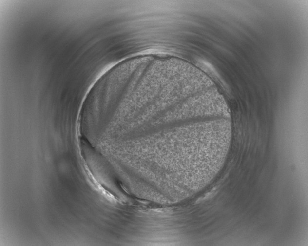 X0000065980900200603241936