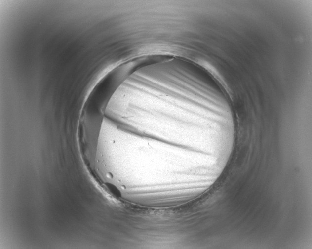 X0000065980901200603241936