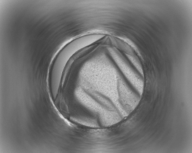 X0000065980902200603241936