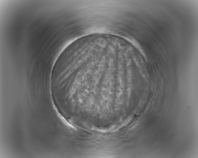 X0000065980903200603241936