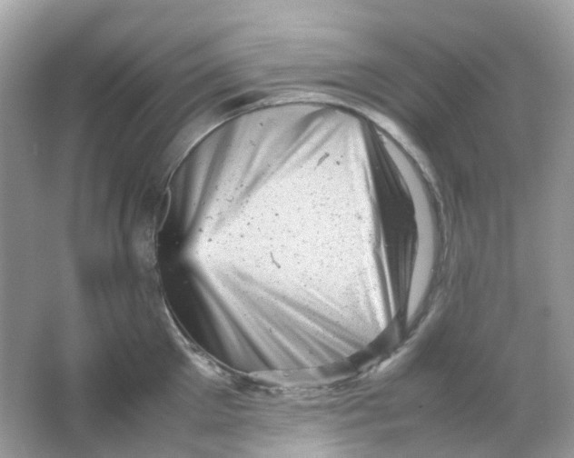 X0000065980905200603241936