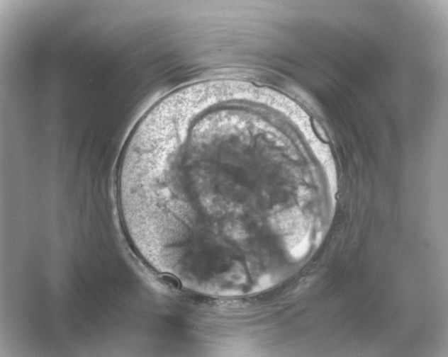 X0000065980907200603241936