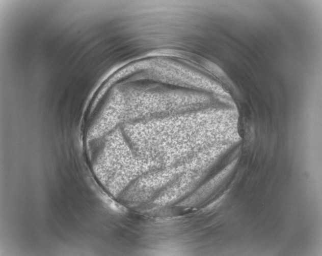 X0000065980908200603241936