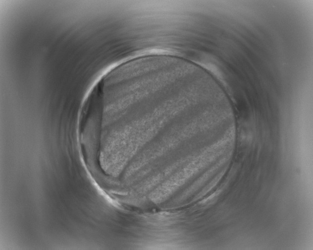 X0000065980910200603241936