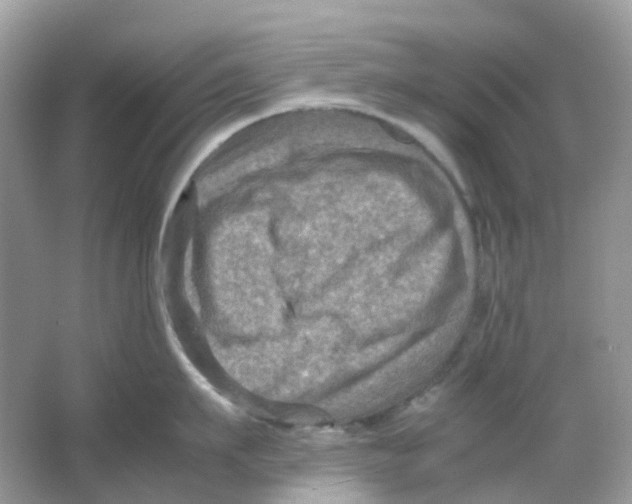 X0000065980911200603241936