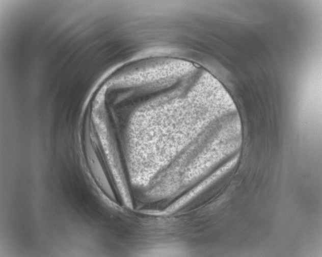 X0000065980912200603241936