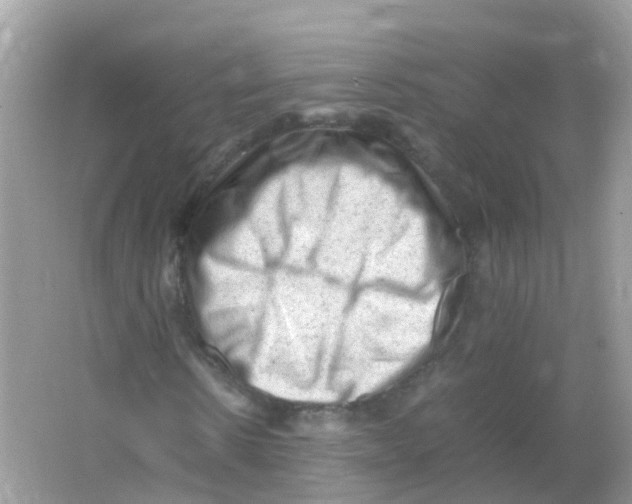 X0000065980914200603241935