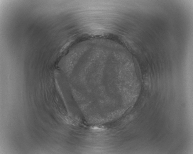 X0000065980916200603241935