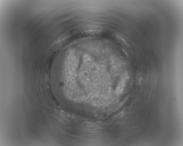 X0000065980917200603241935