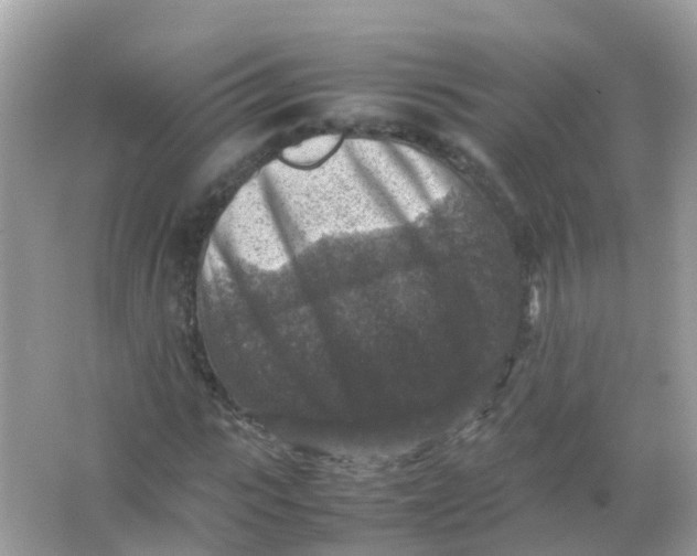 X0000065980919200603241935