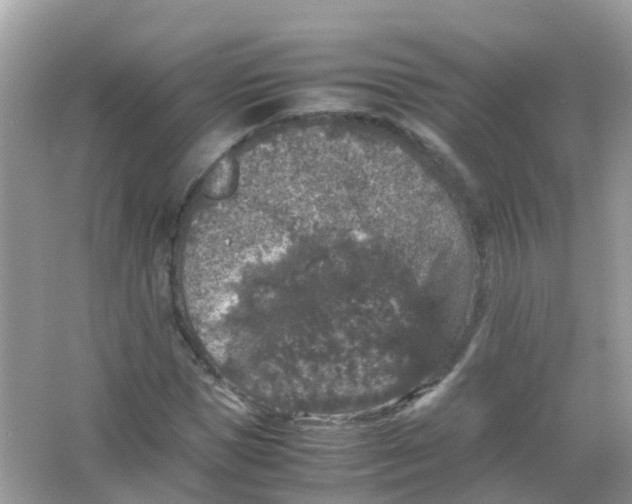 X0000065980921200603241935