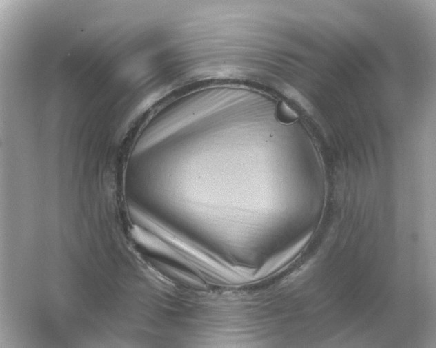 X0000065980922200603241935