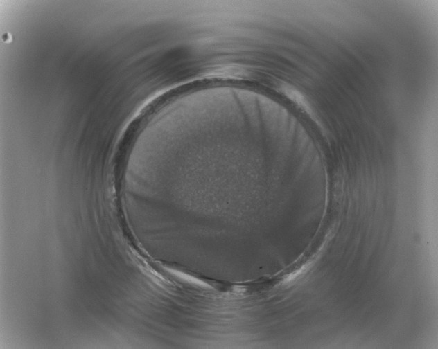 X0000065980923200603241935