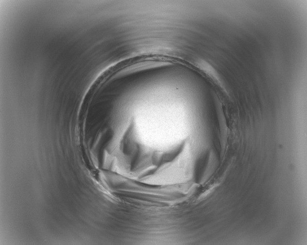 X0000065980924200603241935