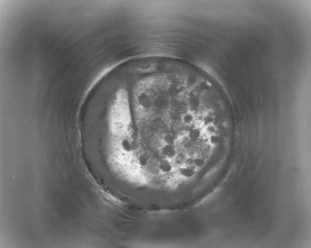 X0000065980925200603241935