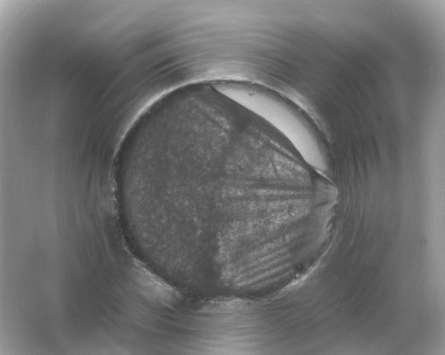 X0000065980926200603241935