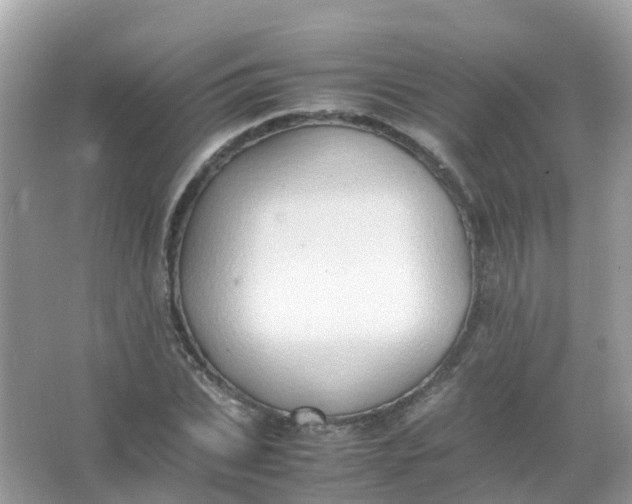 X0000065980927200603241935