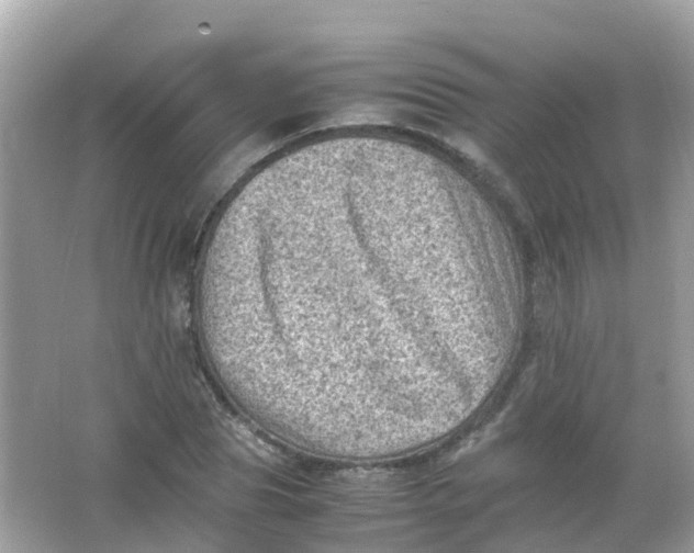 X0000065980929200603241935