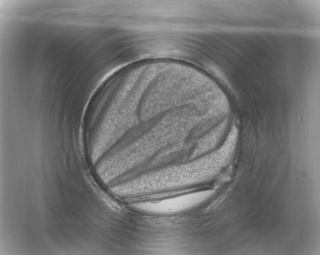 X0000065980932200603241935