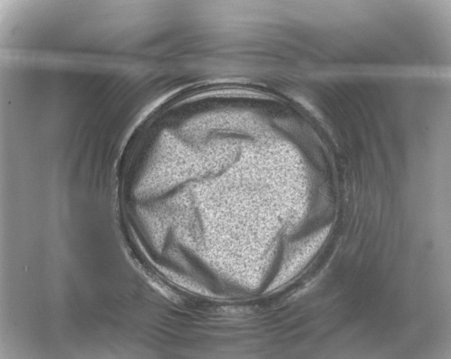 X0000065980933200603241935