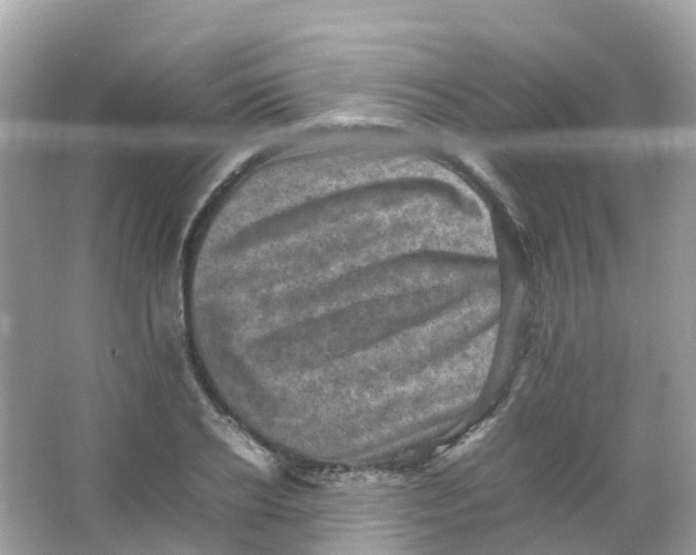 X0000065980934200603241935