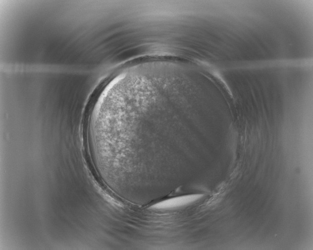 X0000065980935200603241936