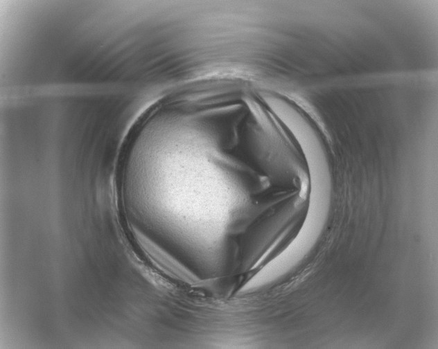 X0000065980936200603241936