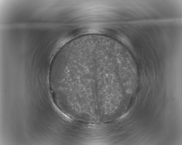 X0000065980938200603241936