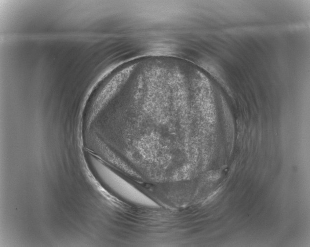 X0000065980939200603241936