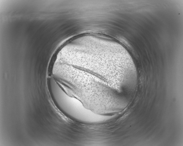 X0000065980940200603241936