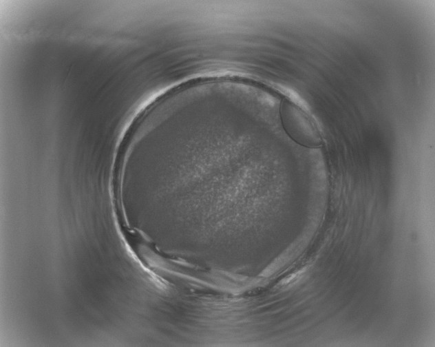 X0000065980943200603241936