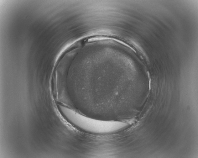 X0000065980944200603241936